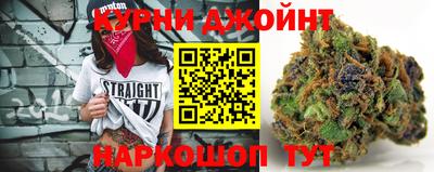 МДПВ Будённовск