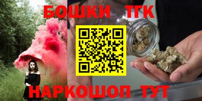 МДПВ Будённовск