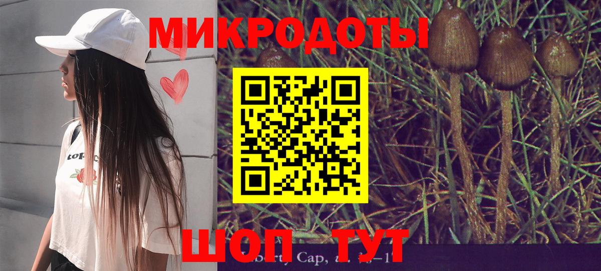 Галлюциногенные грибы GOLDEN TEACHER Шелехов
